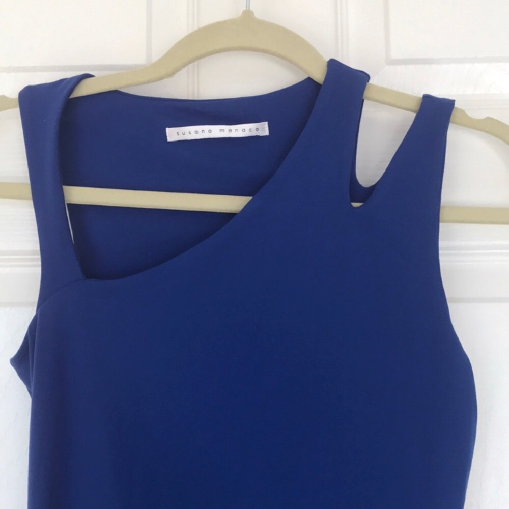 Susanna Monaco dress